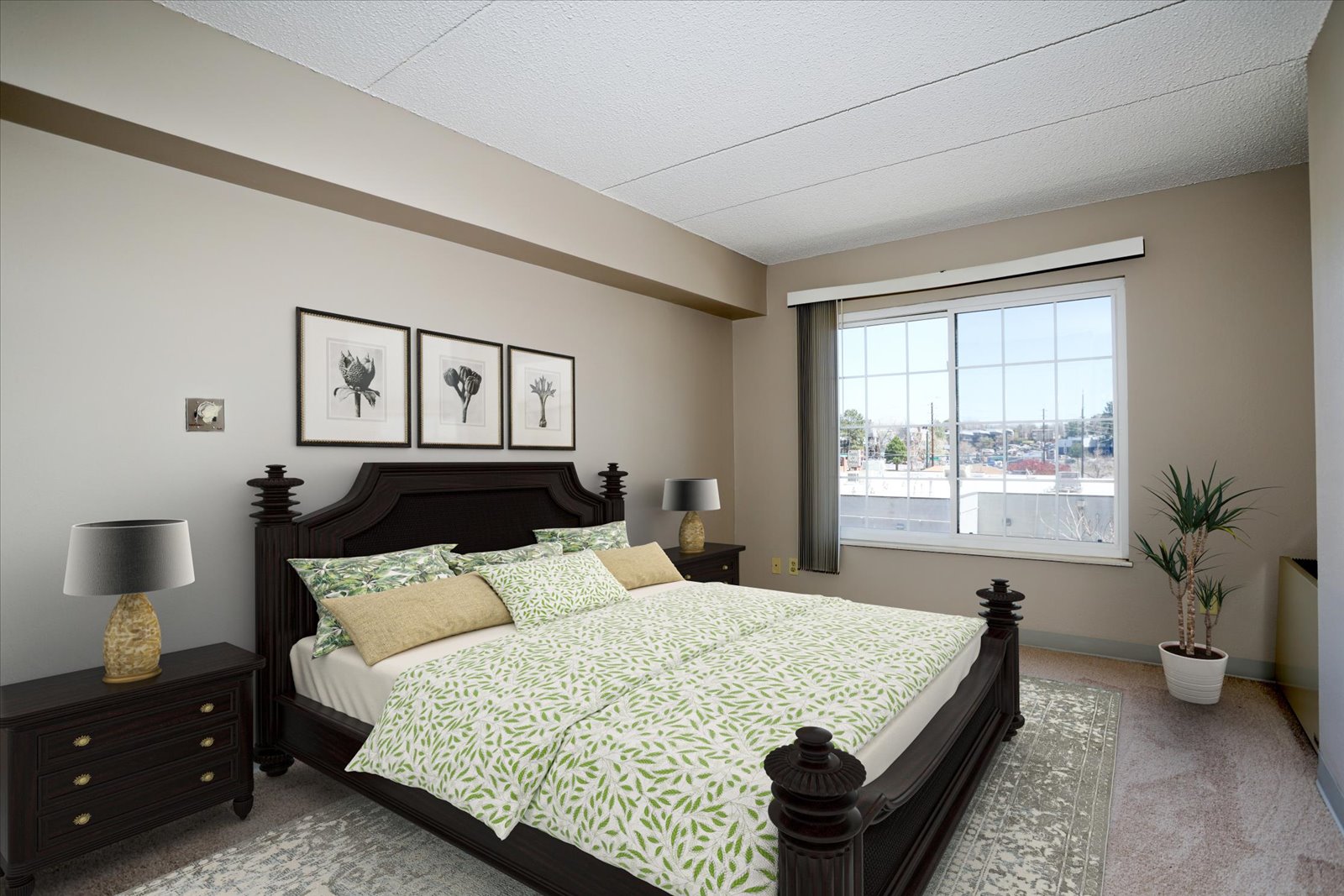 Springbrooke Senior Living_17